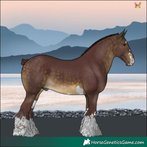 Horse Color:Chocolate Buckskin 