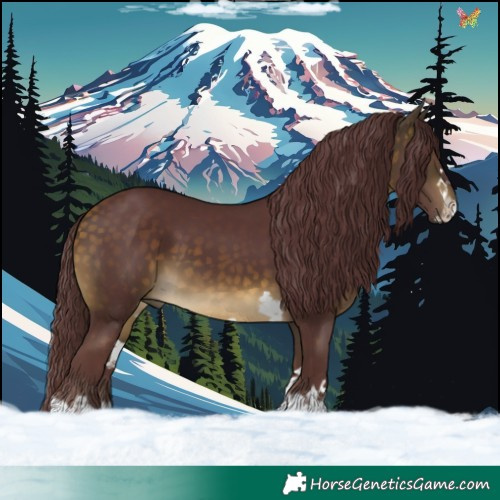 Horse Color:Chocolate Buckskin 