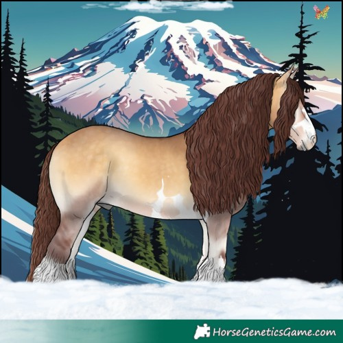Horse Color:Chocolate Buckskin Onyx 
