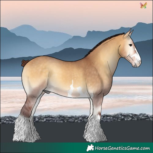 Horse Color:Chocolate Buckskin Onyx 
