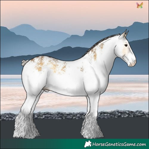 Horse Color:White Spotted Chocolate Silver Buckskin Onyx 