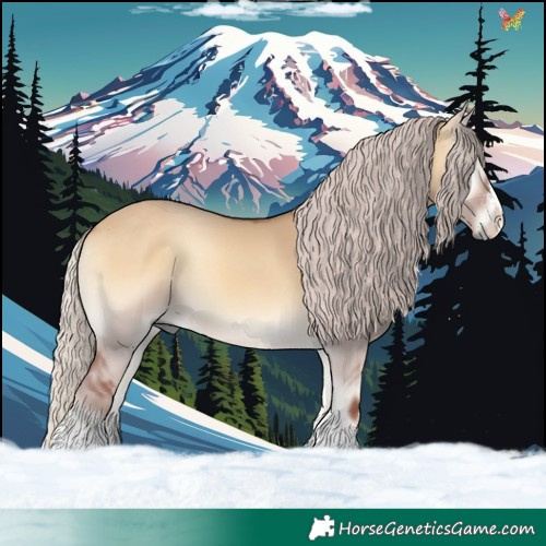 Horse Color:Chocolate Silver Buckskin Onyx 