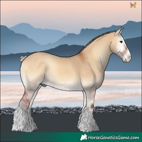 Horse Color:Chocolate Silver Buckskin Onyx 