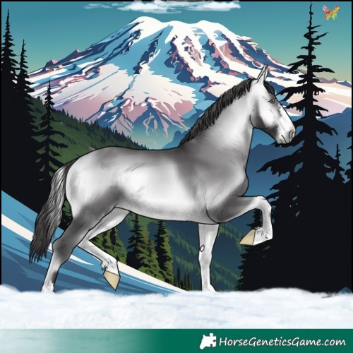 Horse Color:Buckskin Chinchilla Onyx 