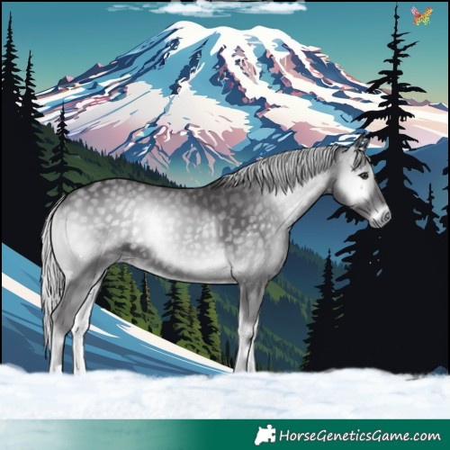 Horse Color:Silver Smoky Blue Onyx Chinchilla 