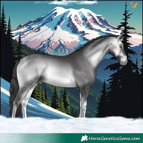 Horse Color:Buckskin Chinchilla Onyx 