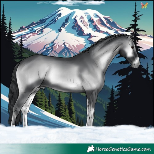 Horse Color:Blue Onyx Chinchilla 