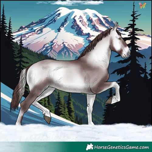 Horse Color:Chocolate Bay Chinchilla Onyx 