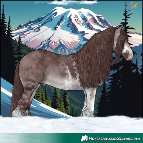 Horse Color:White Spotted Chocolate Brown Chinchilla 