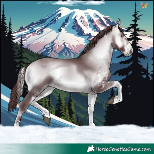 Horse Color:White Spotted Chocolate Bay Chinchilla Onyx 
