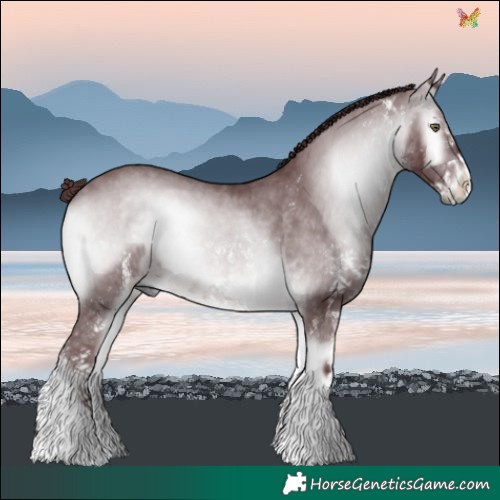 Horse Color:White Spotted Chocolate Brown Chinchilla Onyx 