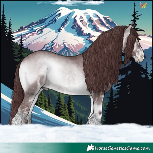 Horse Color:White Spotted Chocolate Brown Chinchilla Onyx 