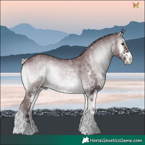 Horse Color:White Spotted Chocolate Silver Blue Onyx Chinchilla 