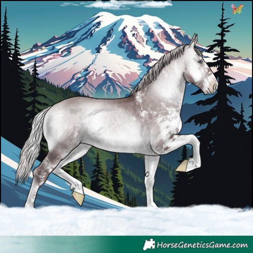 Horse Color:White Spotted Chocolate Silver Bay Chinchilla Onyx 