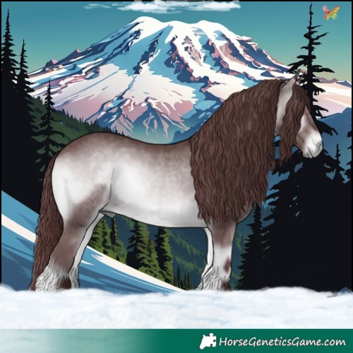 Horse Color:Chocolate Brown Chinchilla Onyx 