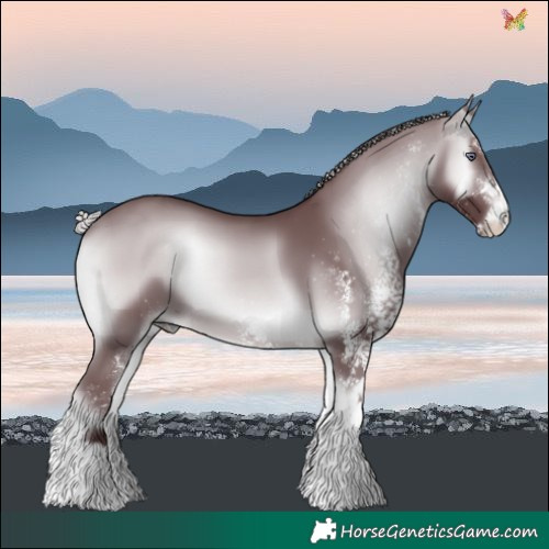Horse Color:White Spotted Chocolate Silver Brown Chinchilla Onyx 