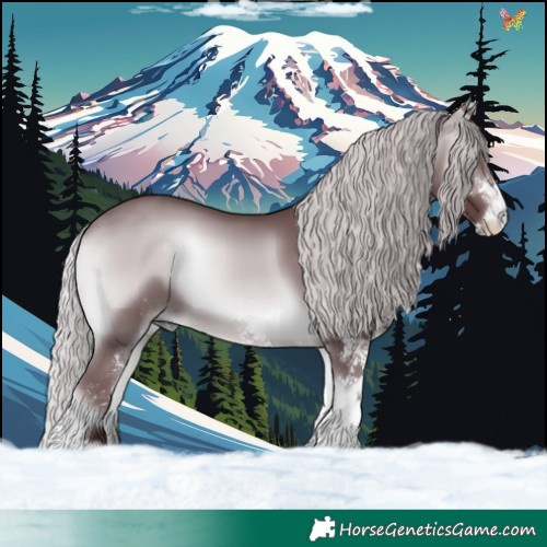Horse Color:White Spotted Chocolate Silver Brown Chinchilla Onyx 
