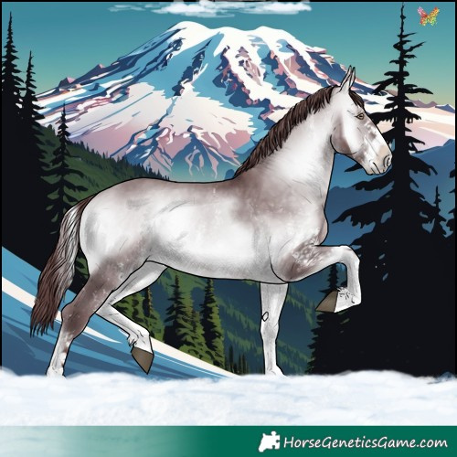 Horse Color:White Spotted Chocolate Bay Chinchilla Onyx 