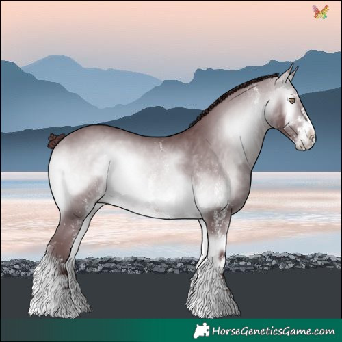 Horse Color:White Spotted Chocolate Bay Chinchilla Onyx 