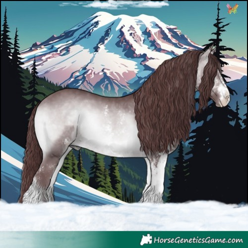 Horse Color:White Spotted Chocolate Brown Chinchilla Onyx 