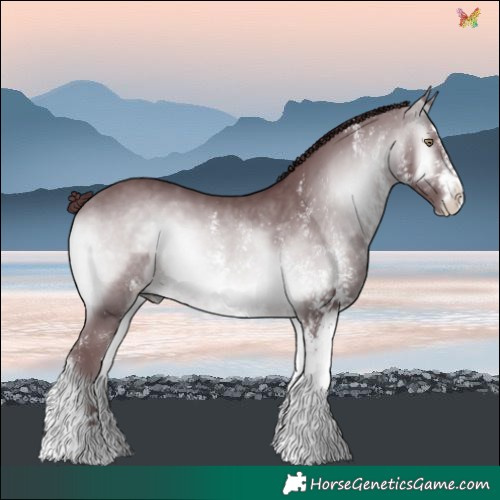 Horse Color:White Spotted Chocolate Brown Chinchilla Onyx 