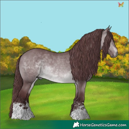 Horse Color:Chocolate Brown Chinchilla 