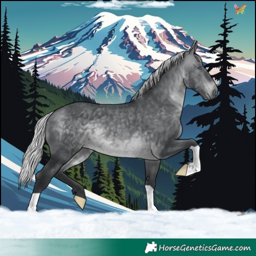 Horse Color:Silver Brown Chinchilla 