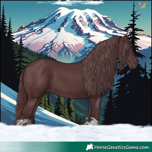 Horse Color:Chocolate Black Chinchilla 