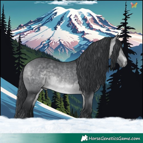 Horse Color:Bay Chinchilla 