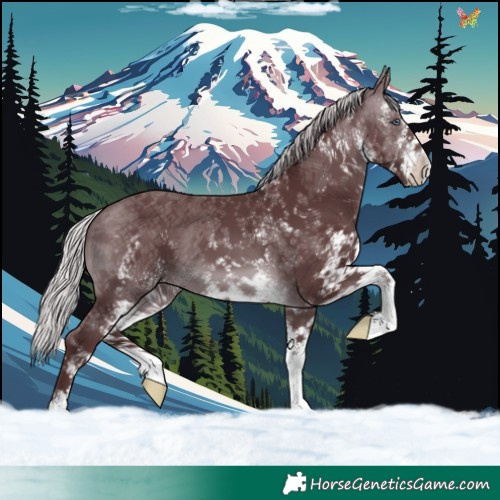 Horse Color:White Spotted Chocolate Silver Brown Chinchilla 