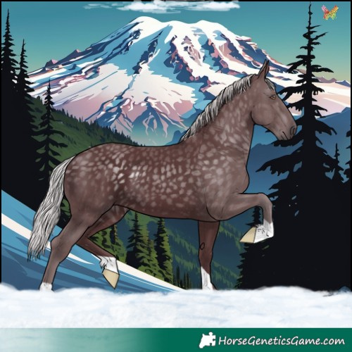Horse Color:Chocolate Silver Black Chinchilla 