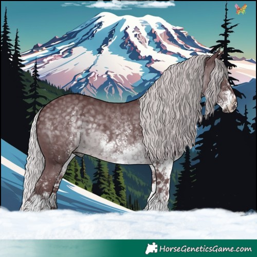 Horse Color:White Spotted Chocolate Silver Black Chinchilla 