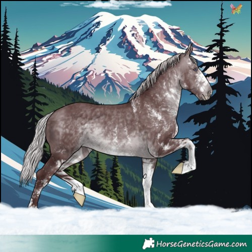 Horse Color:White Spotted Chocolate Silver Brown Chinchilla 