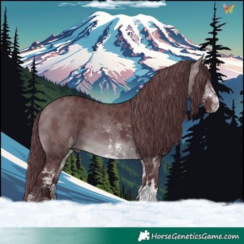 Horse Color:White Spotted Chocolate Brown Chinchilla 