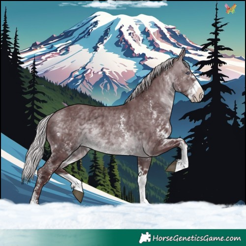 Horse Color:White Spotted Chocolate Silver Brown Chinchilla 