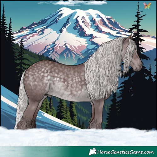 Horse Color:Chocolate Silver Black Chinchilla 