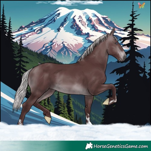 Horse Color:Chocolate Silver Brown Chinchilla 