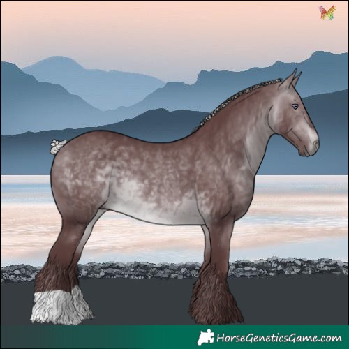 Horse Color:Chocolate Silver Brown Chinchilla 