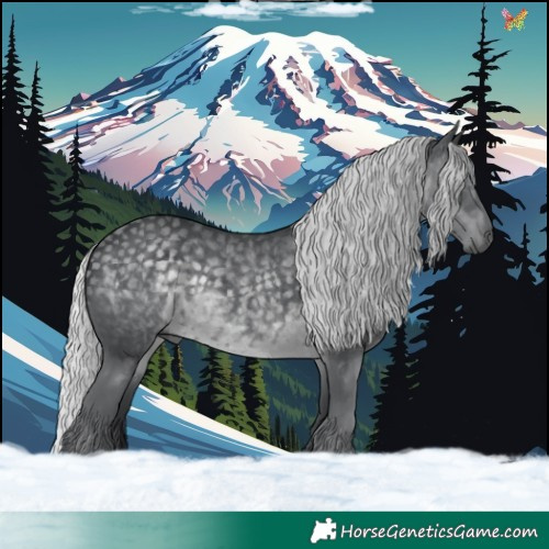 Horse Color:Silver Black Chinchilla 