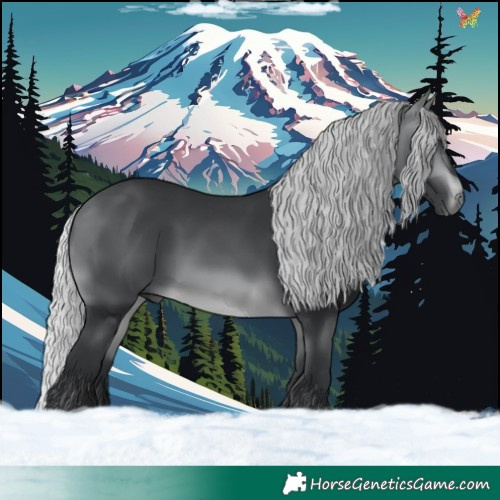 Horse Color:Silver Brown Chinchilla 