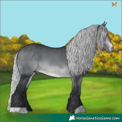 Horse Color:Silver Brown Chinchilla