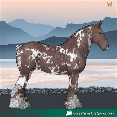 Horse Color:White Spotted Chocolate Silver Black Chinchilla 