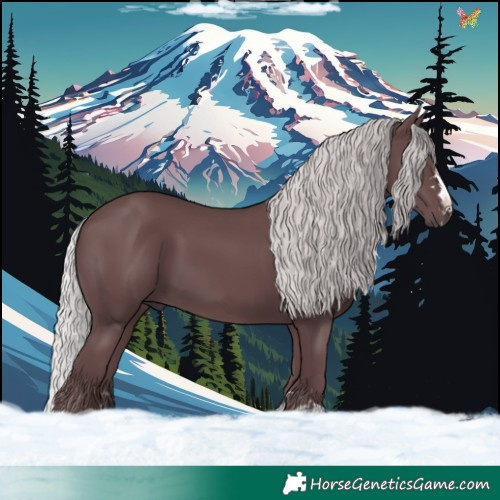 Horse Color:Chocolate Silver Black Chinchilla 