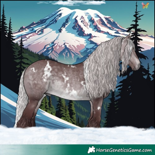 Horse Color:White Spotted Chocolate Silver Brown Chinchilla 