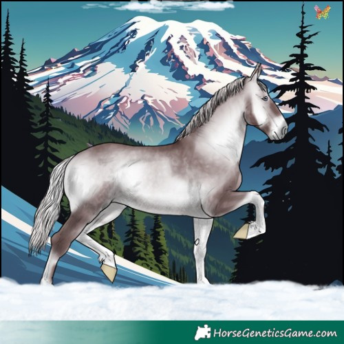 Horse Color:Chocolate Silver Brown Chinchilla Onyx 