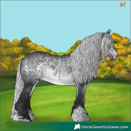 Horse Color:Silver Brown Chinchilla