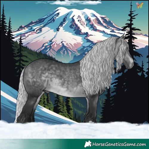 Horse Color:Silver Brown Chinchilla 