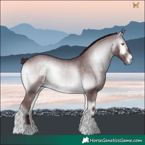 Horse Color:Chocolate Brown Chinchilla Onyx 