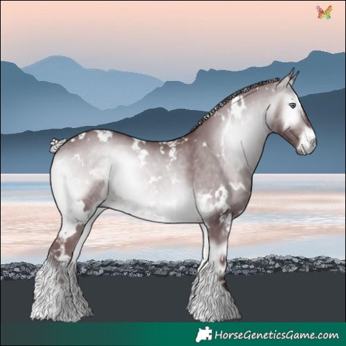 Horse Color:White Spotted Chocolate Silver Brown Chinchilla Onyx 