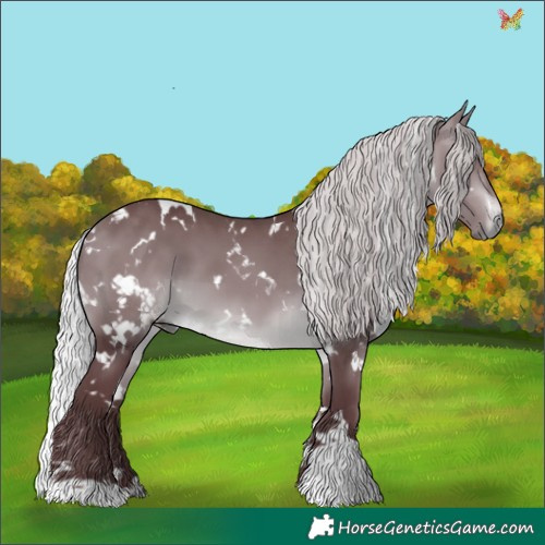 Horse Color:White Spotted Chocolate Silver Brown Chinchilla